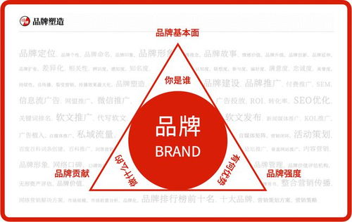 茶叶品牌营销策划方案与推广策略 全方位咨询服务指南