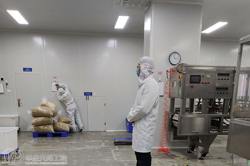 食品工厂设计中的混合流及其洁净室 最优布局与咨询策划服务要义