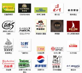 双城品牌策划公司 专业咨询与创意服务，助力品牌成长